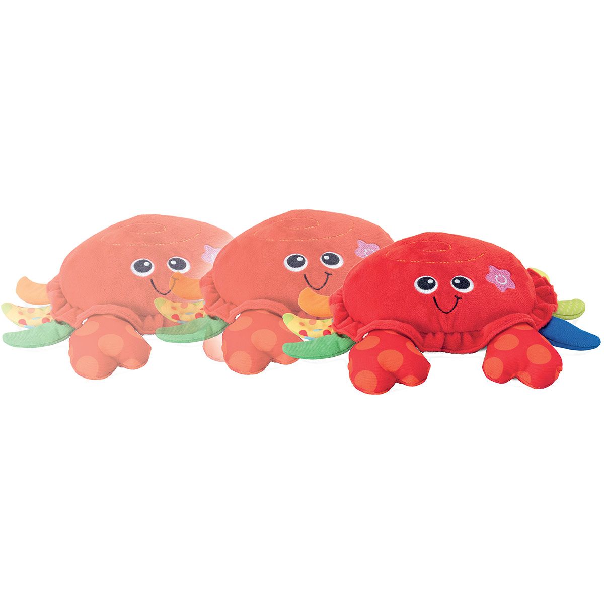 Mon crabe se balade