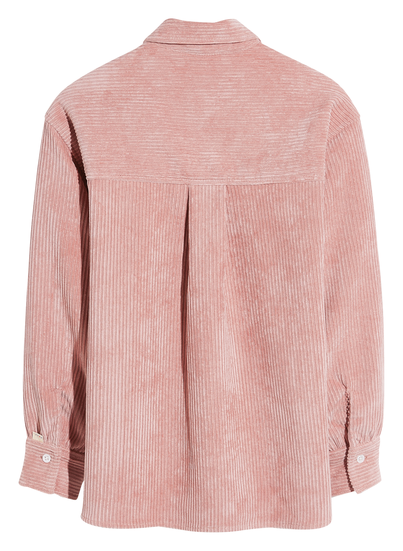 IRONIE - Chemise col classique en velours côtelé | Rose