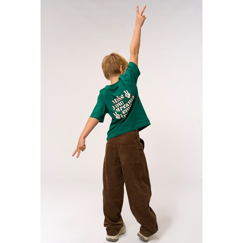 Køb The New Alpine Green Panton Oversize S_S Tee