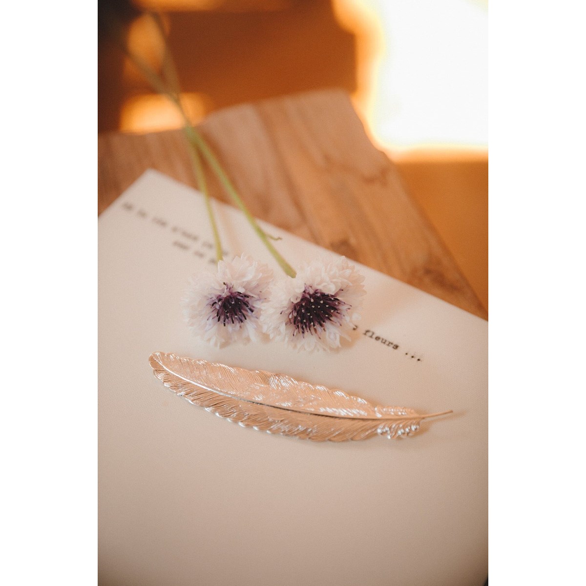 broche plume plaqué argent - PHÉBÉ
