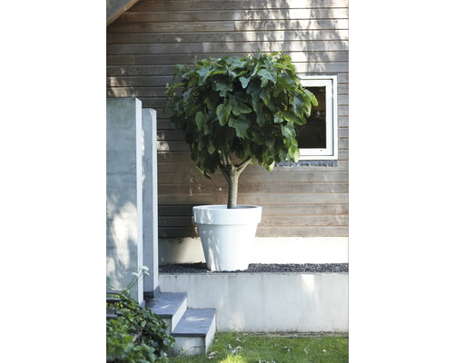 elho Pure ronde kunststof plantenpot Ø 40 H 36 cm wit