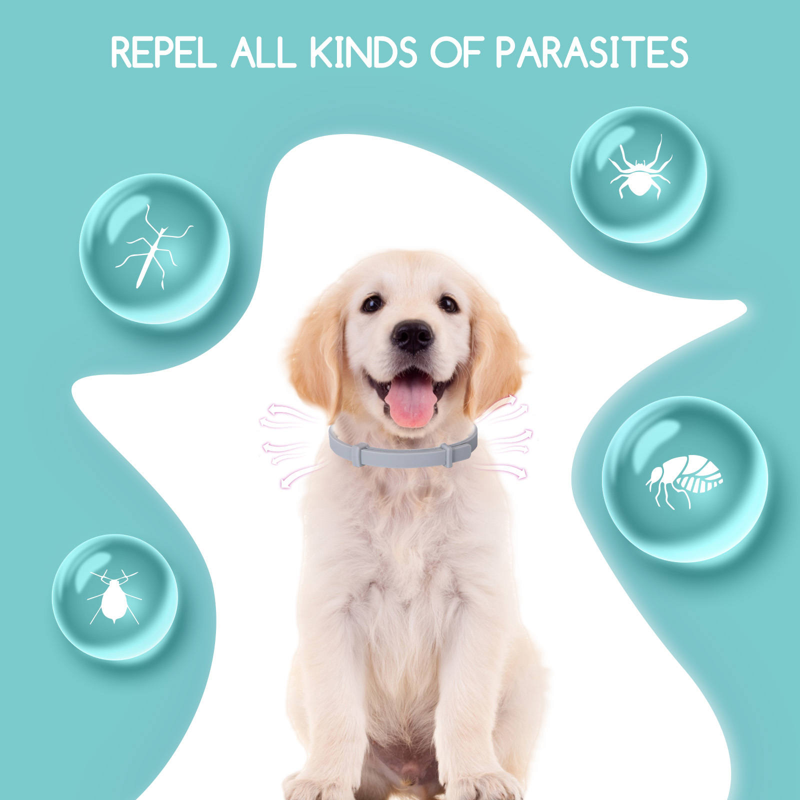Nobleza - Coleira Antiparasitária para Cães, Repelente de Pulgas Seguro e Eficaz. Feita com 100% de Óleos Essenciais, Fórmula Natural Segura e Material Impermeável. Dura 8 Meses, 56cm, 2 Unidades.