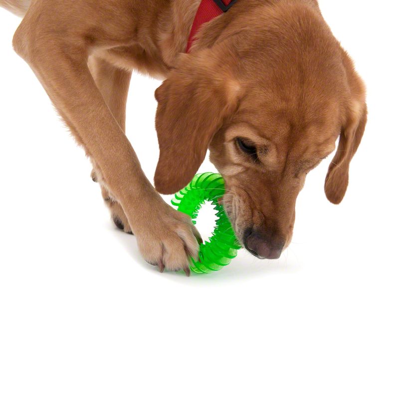 Lot de 3 jouets pour chien