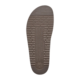 nerio  SCRATCH 3494  KAKI