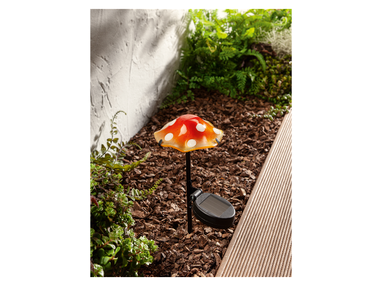 Solar LED-paddenstoel