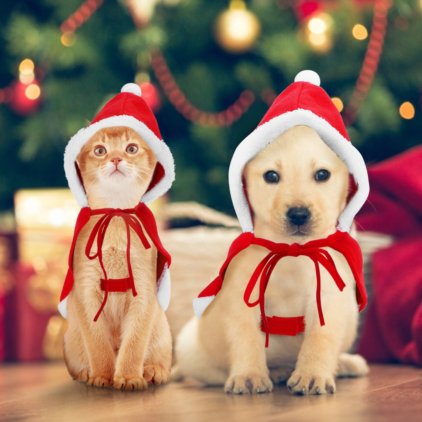 Roupa natalina de nobreza para cães de pequeno porte, fantasia de Papai Noel para gatos, traje de Papai Noel ajustável para filhotes, gatinhos, gatos de pequeno porte e cães de estimação.
