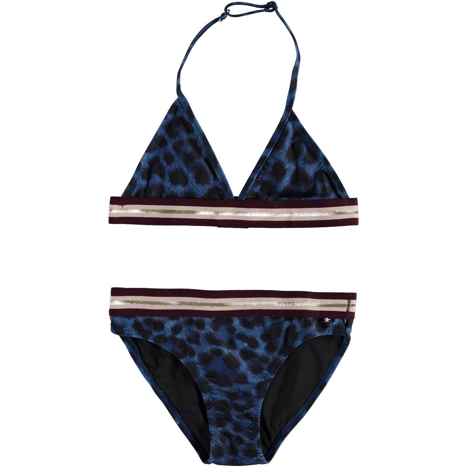 Nicoletta - Blue Jaguar