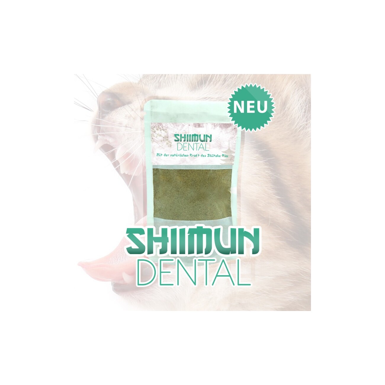 Marsapet Shiimun Dental Pulver - 50g