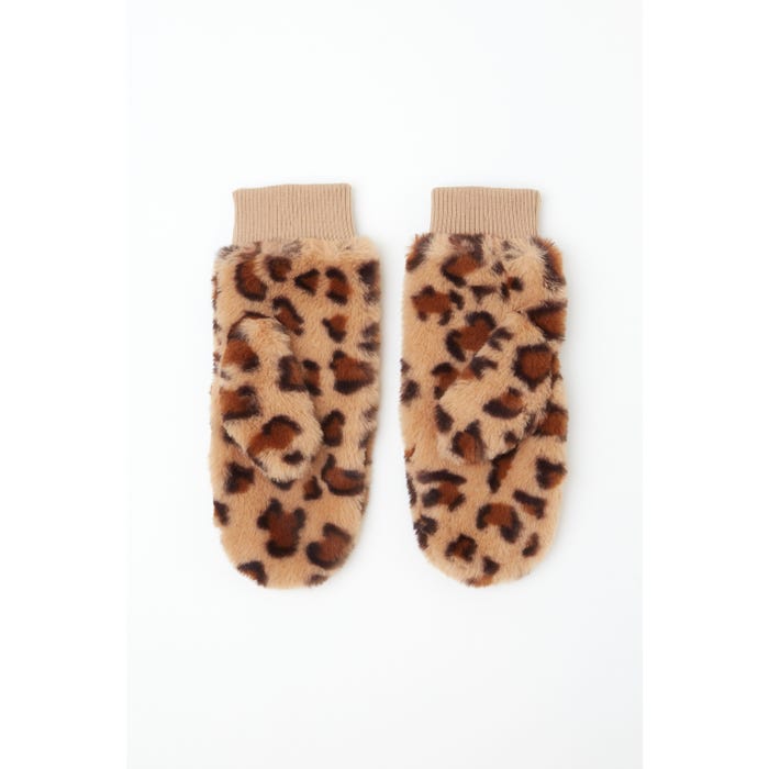 Veritas-Wanten leopard