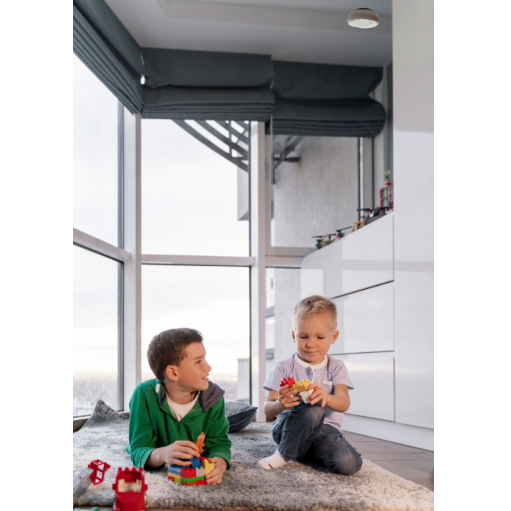 Pacote com detector de fumaça sem fio e minihub ZigBee