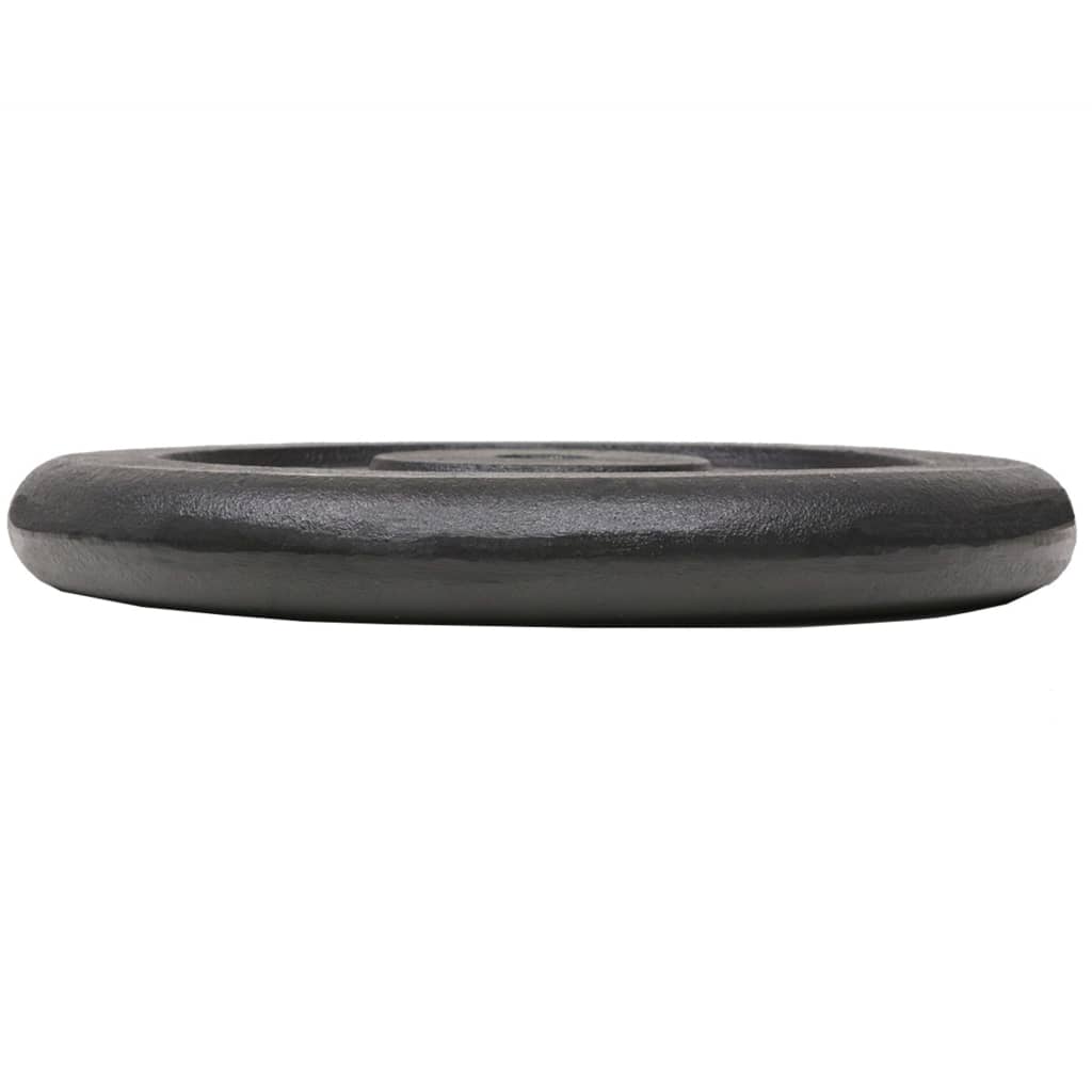 Discos de peso Vidaxl em ferro fundido, 2 unidades, 2 x 20 kg