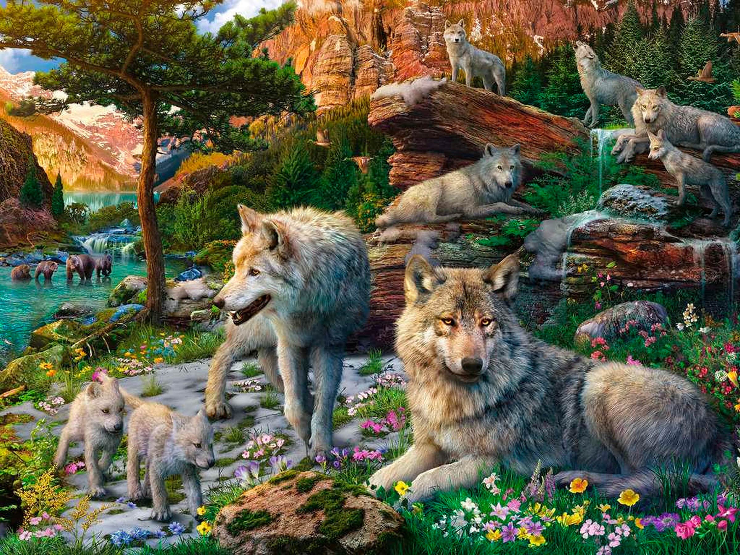 Ravensburger Wolfsrudel im Frühlingserwachen