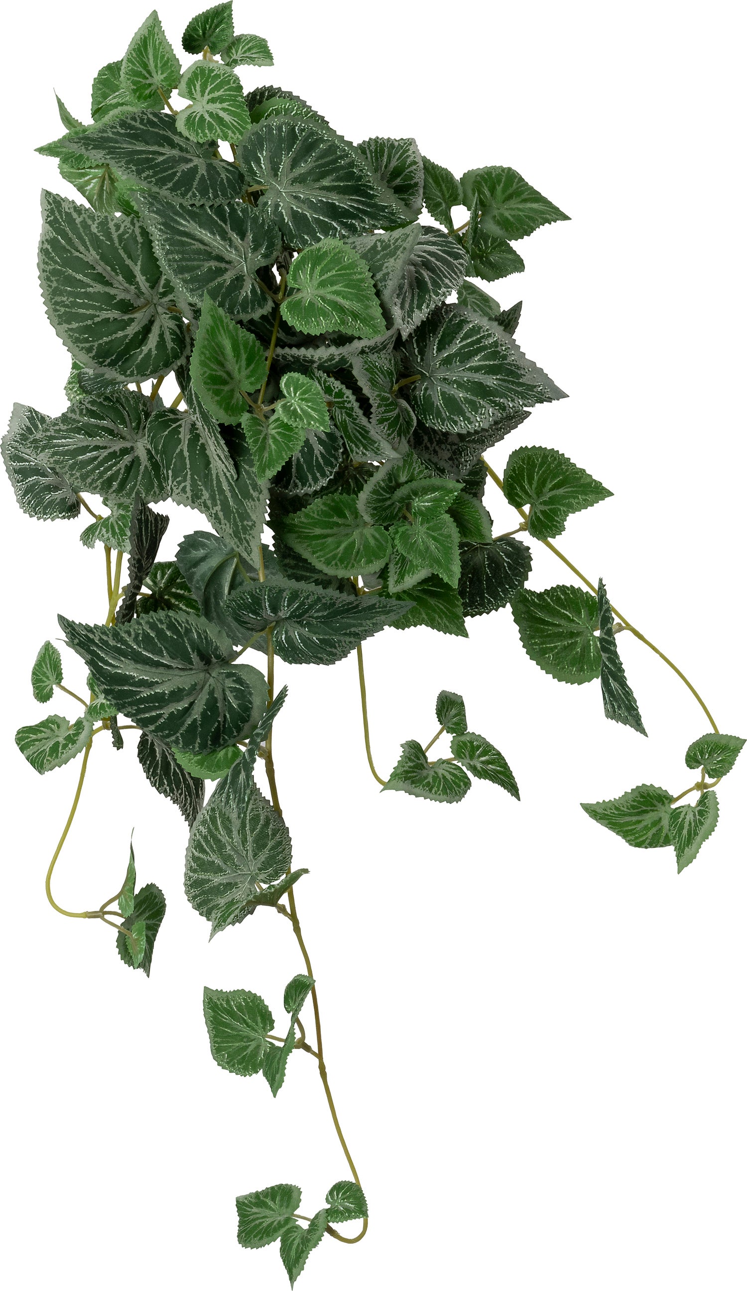 Intratuin kunsthangplant Bladbegonia groen 10 x 22 x 60 cm