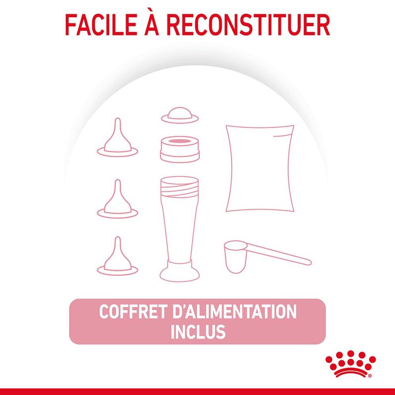 Lait maternisé Royal Canin Babycat à prix discount sur bitiba.fr