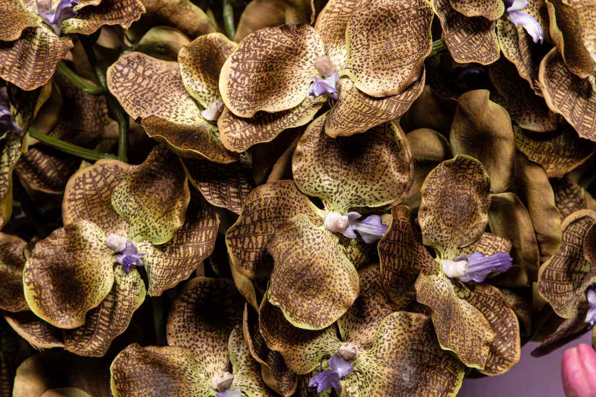Ptmd branche artificielles orchidee - 78x17x79 cm - plastique - marron