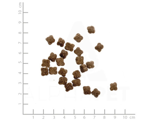 WILDES LAND droogvoer voor katten, kip en zalm met tuingroenten en waardevolle superfoods, graanvrij, glutenvrij, 1,2 kg