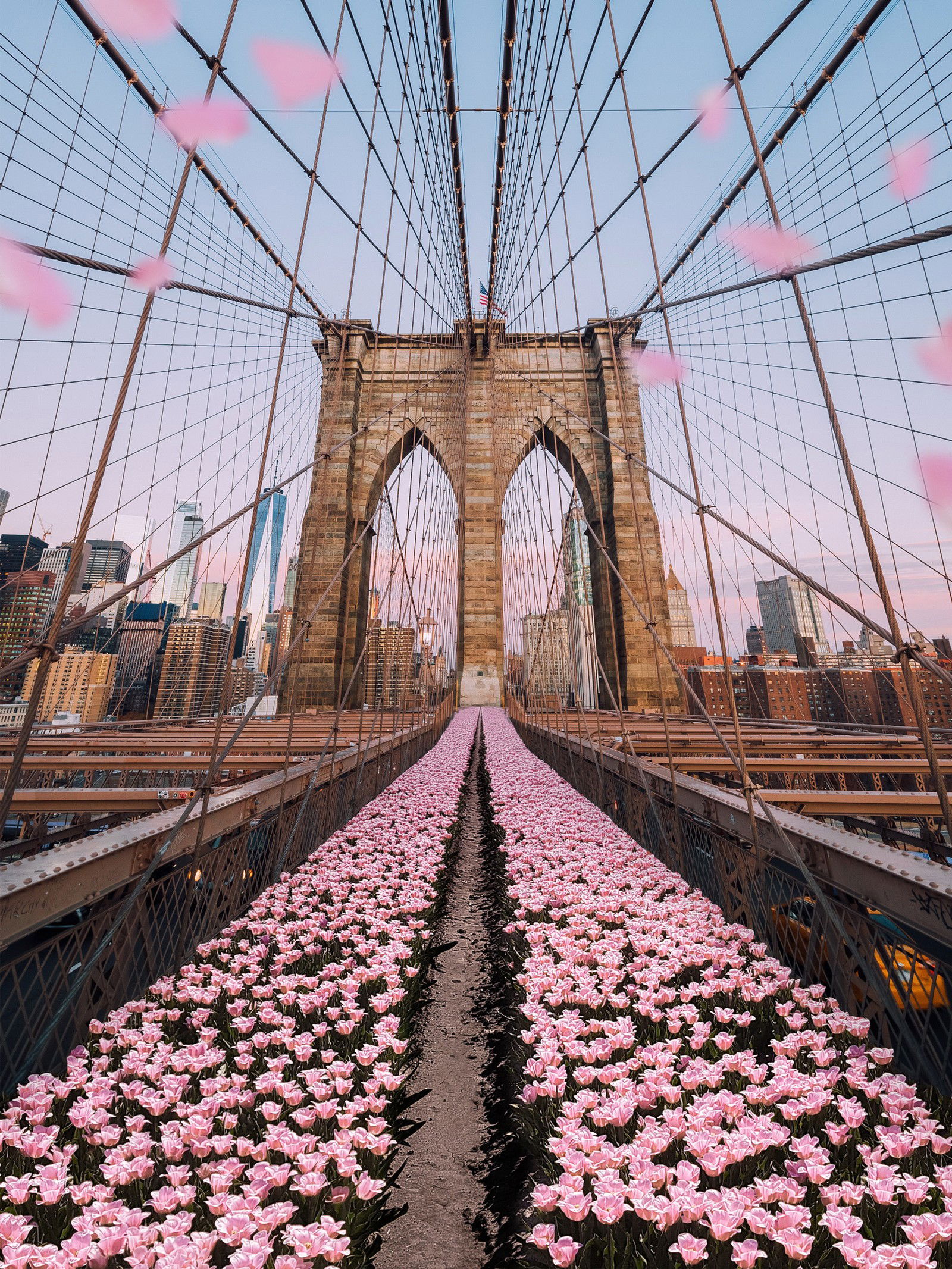 Brooklyn Bridge Tulips by Robert Jahns - Open Edition.