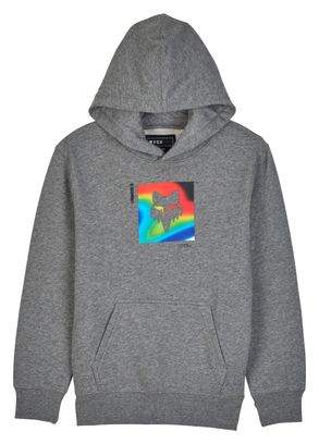 Sweat à capuche Scans Pullover Enfant Gris