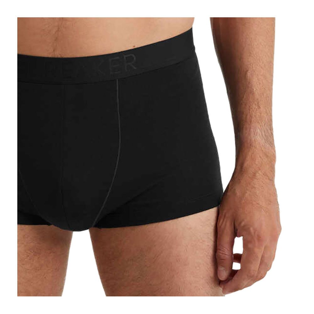 Icebreaker ANATOMICA COOL-LITE - Boxer Homme black