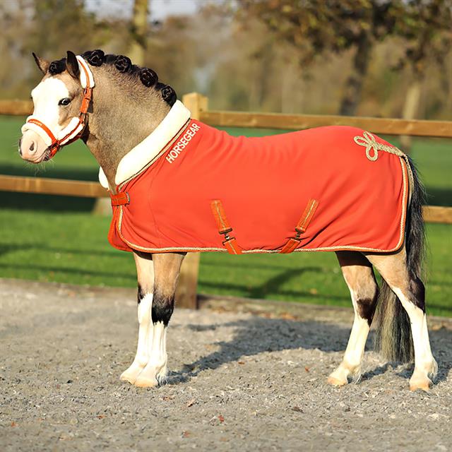 Zweetdeken HORSEGEAR HGLyx Mini Middenoranje
