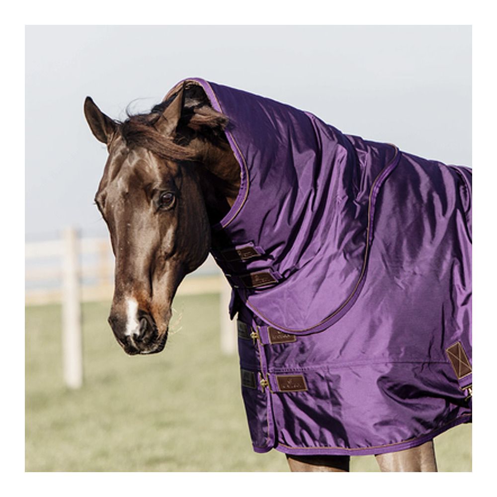 Kentucky ALL WEATHER 1680D 150G - Couvre-reins royal purple
