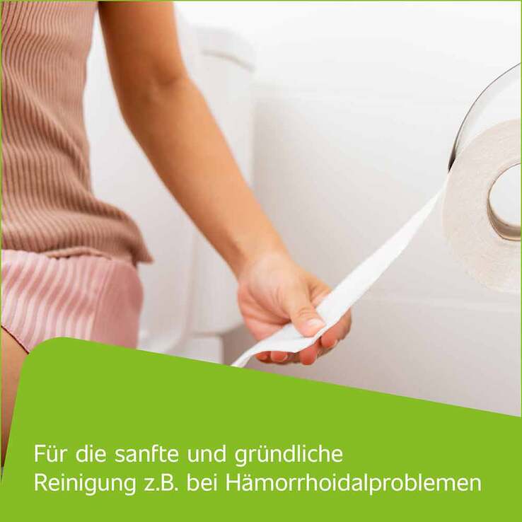 Hametum Reinigungsschaum, 100 ml
