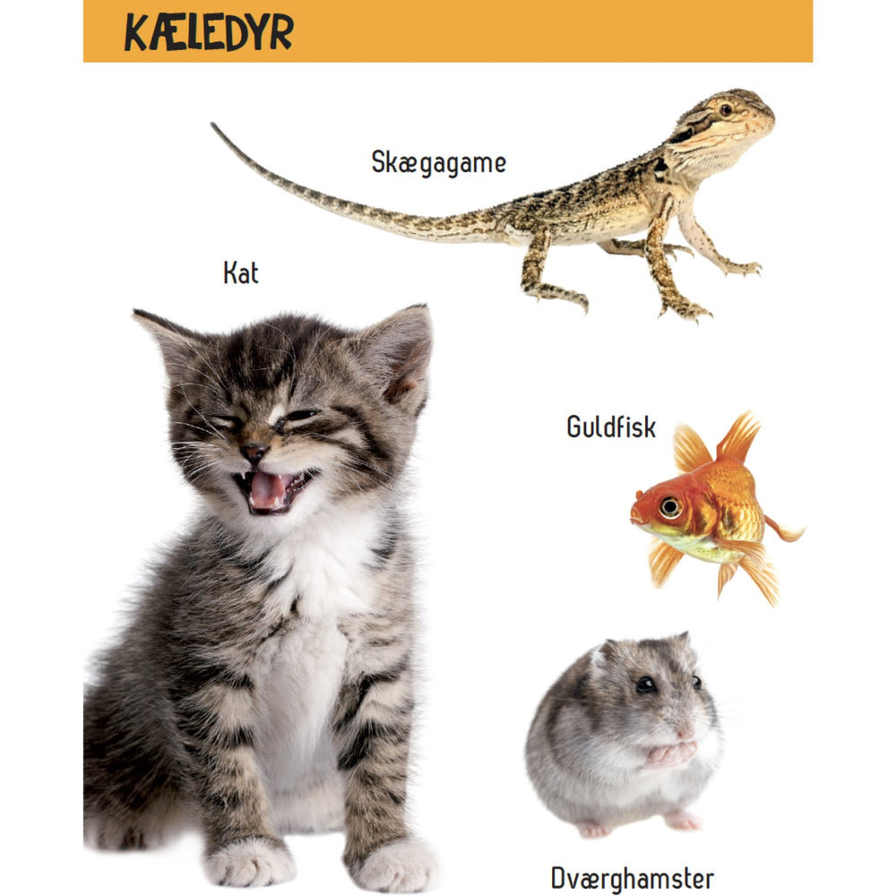 Køb Forlaget Tukan Kig Engang - Hvad Er Det? Dyr