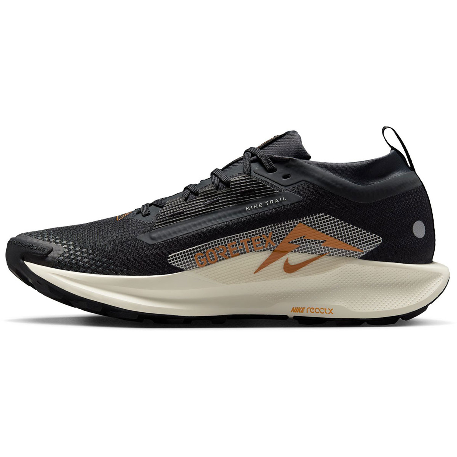 Nike Pegasus Trail 5 GTX Heren