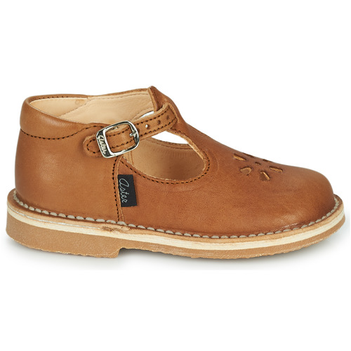 Aster - BIMBO - Cognac