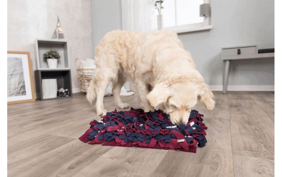 Strategie-Spiel Activity SchnüffelteppichSchnüffelspass für Katzen und Hunde