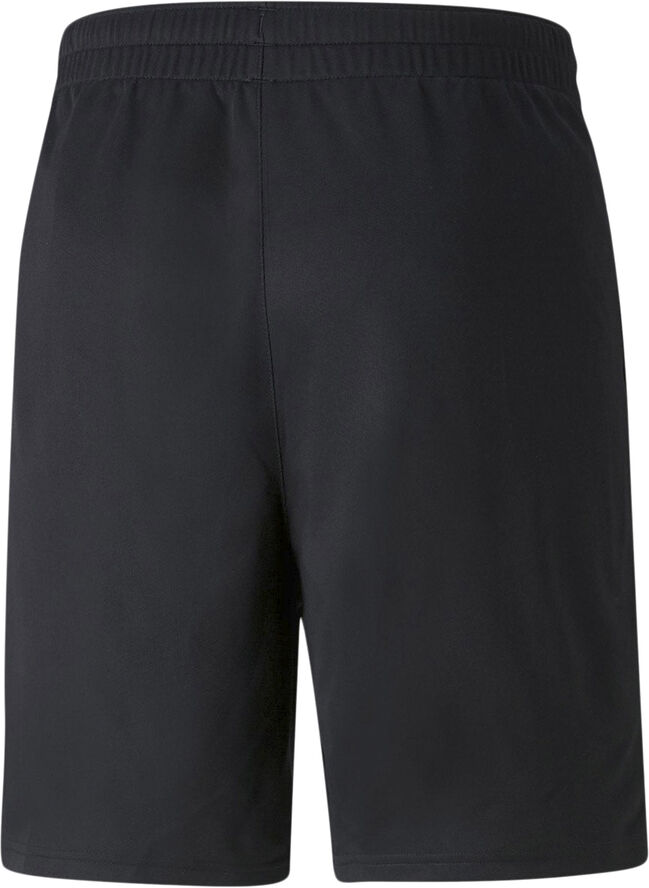 Puma Teamfinal Shorts Sort