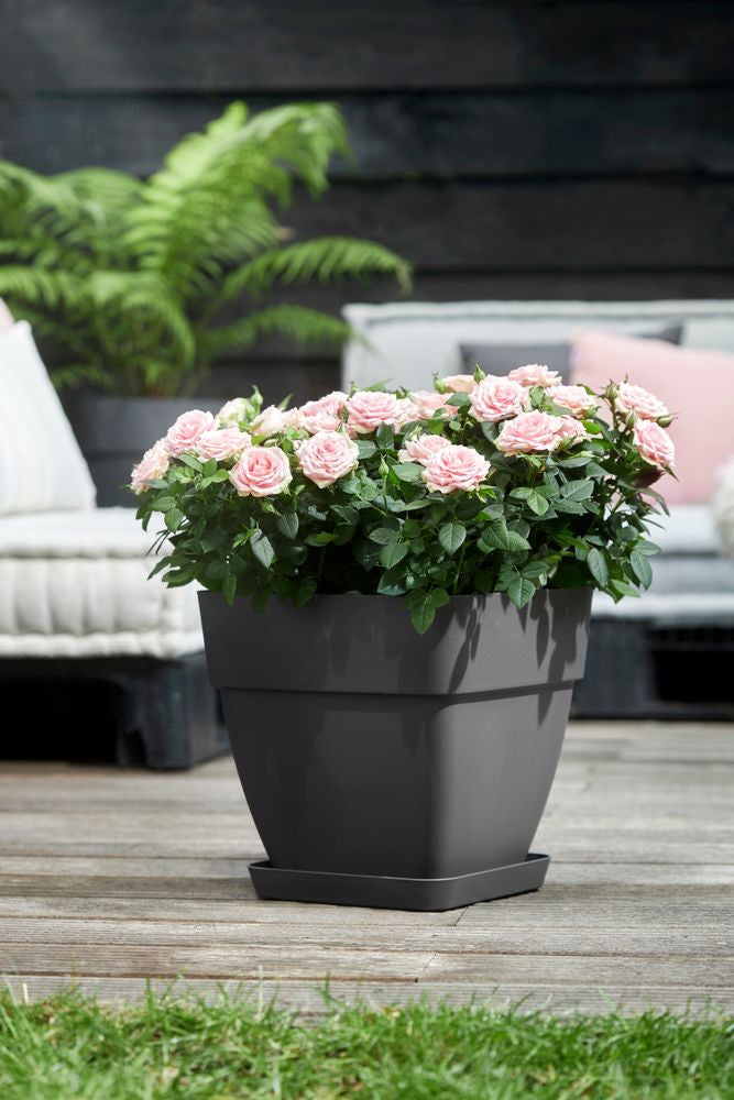 Elho bloempot Vibia Campana antraciet 28,8 x 28,8 x 28,2 cm
