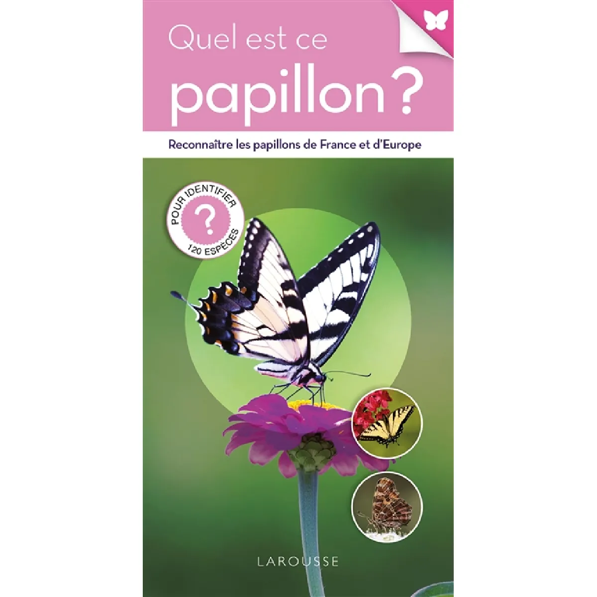 Quel est ce papillon ? · Occasion