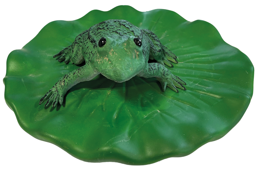 Superfish Floating Frog