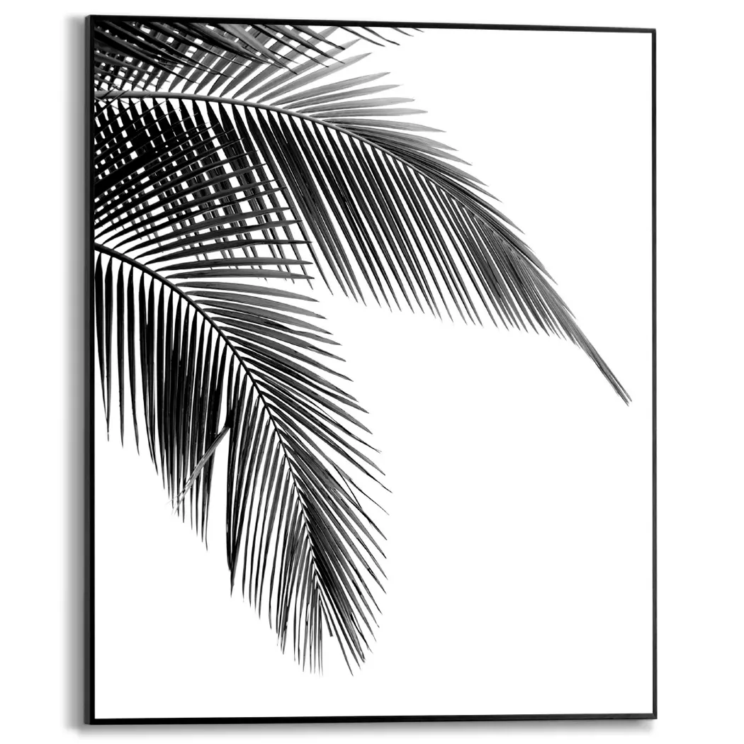 Wandbild 40 x 50 cm Palm Leaf