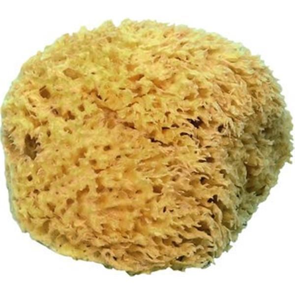 Esponja Natural C015