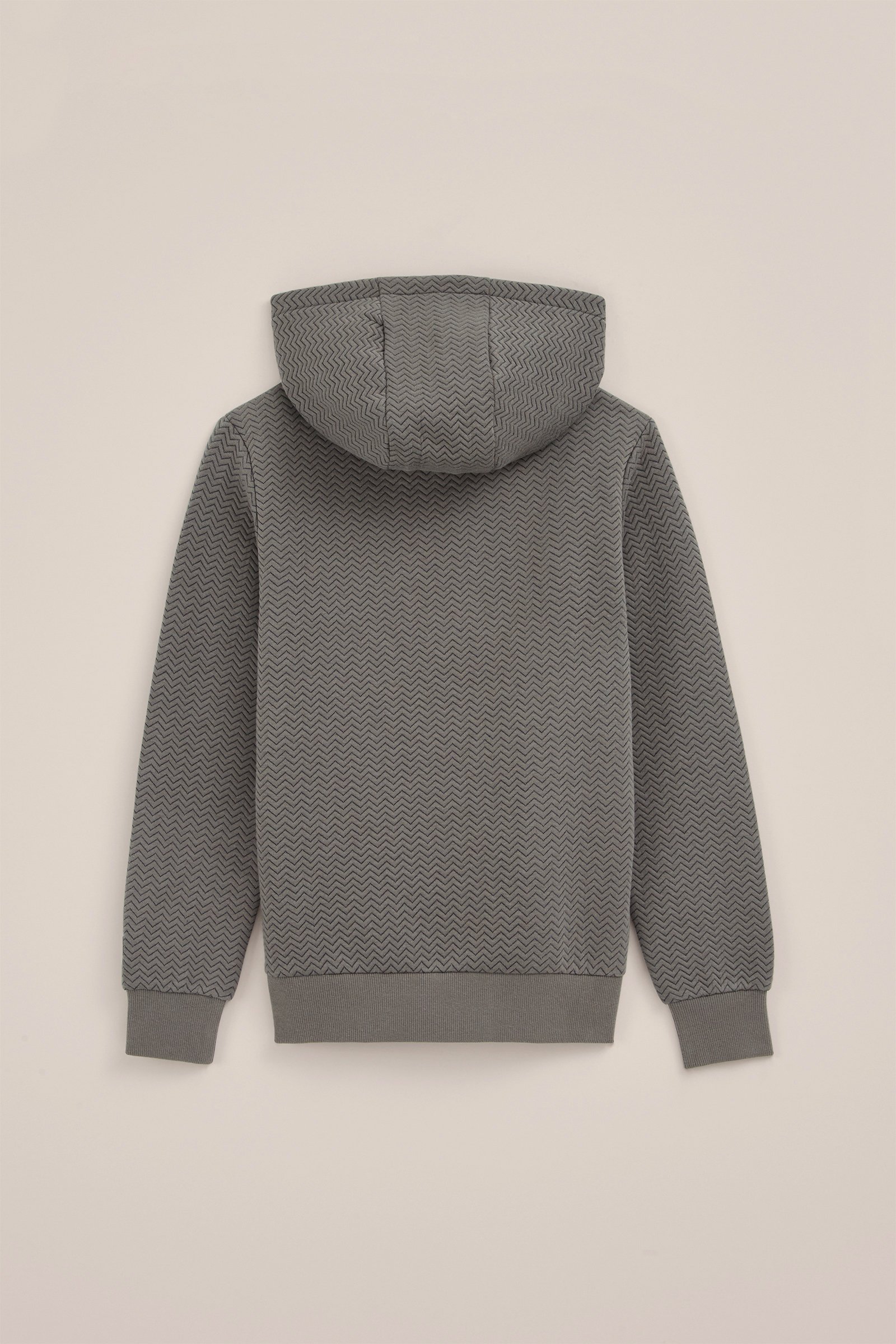 Jongens hoodie met dessin Blue Ridge Grijsgroen