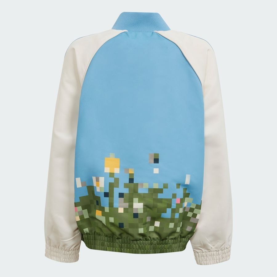 Adidas Original adidas Originals x Minecraft Track Suit Set