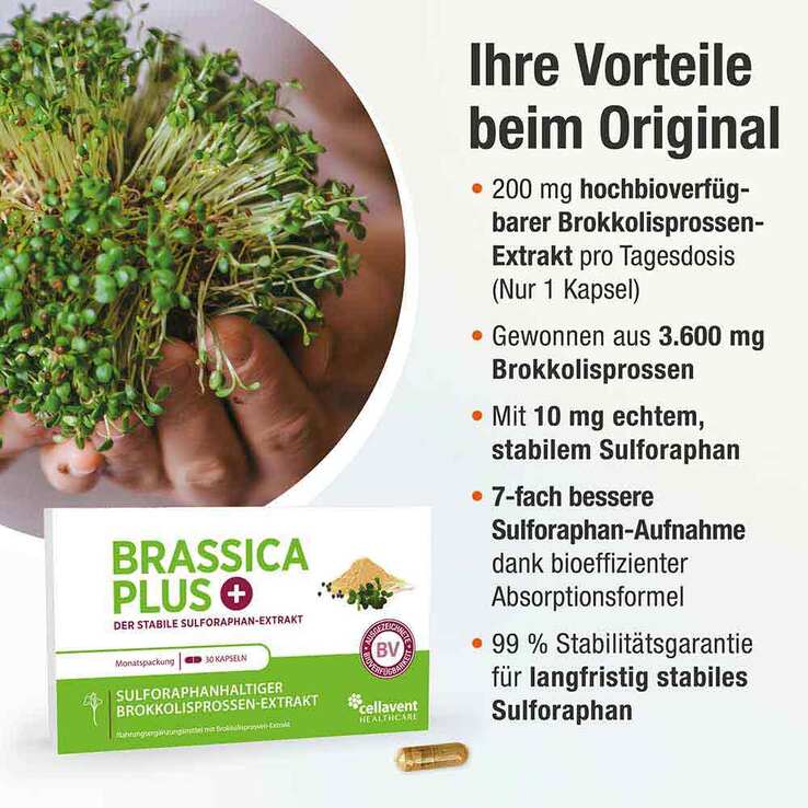 Brassica Plus Kapseln, 30 St