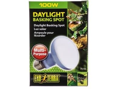 Daylight Basking Spot pære R20/50W