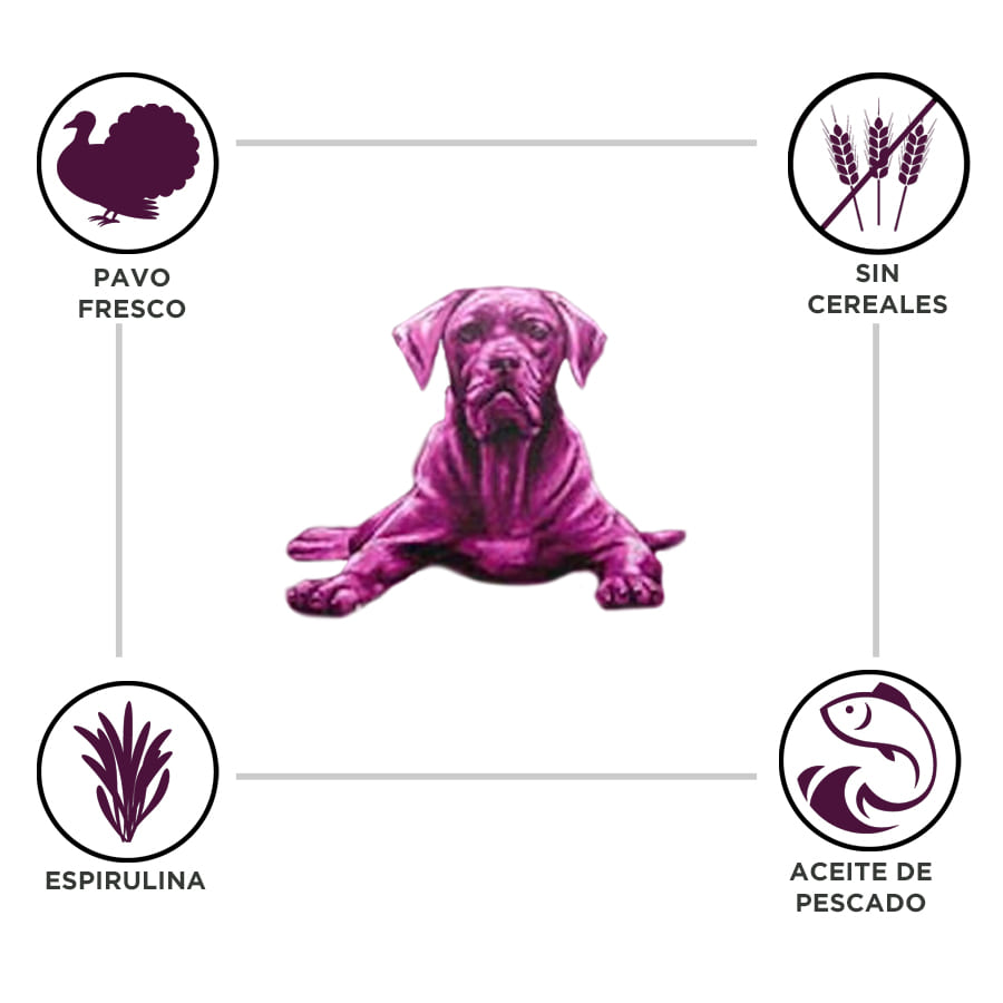 Ração para cães adultos Breeders, sem grãos, com peru, para raças médias e grandes.