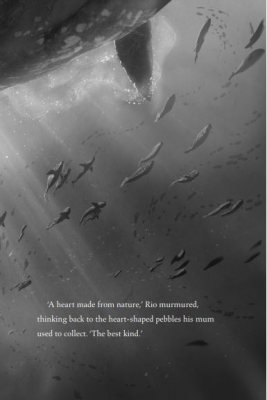 The Lost Whale (Hardback)