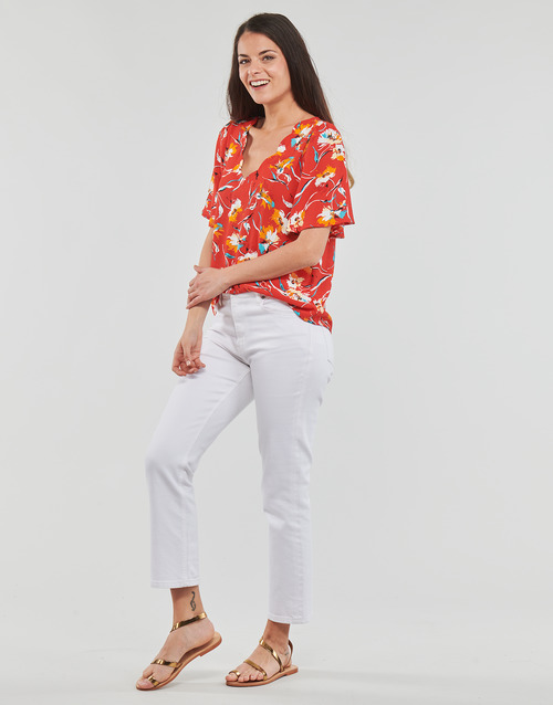 Betty London - GINNA - Multicolore