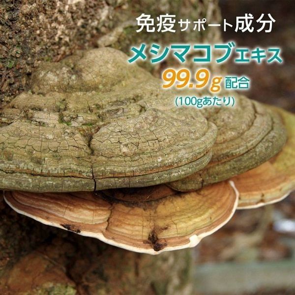 FINE JAPAN - Meshima-paddenstoelextractpoeder
