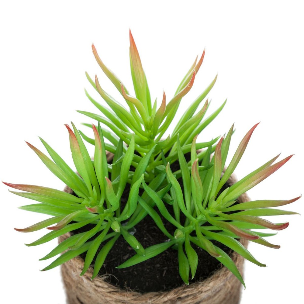 Plante verte artificielle pot en corde