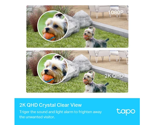 TP-Link Tapo C420S2
