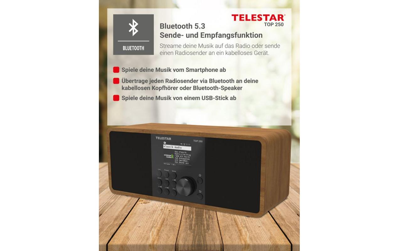Internet Radio TOP 250 Braun/Holz<br>Stereo-Radio mit DAB+/FM und Internetradio