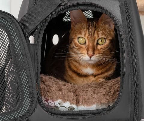 Transportveske for Kjæledyr / Veske for Katter og Hunder
