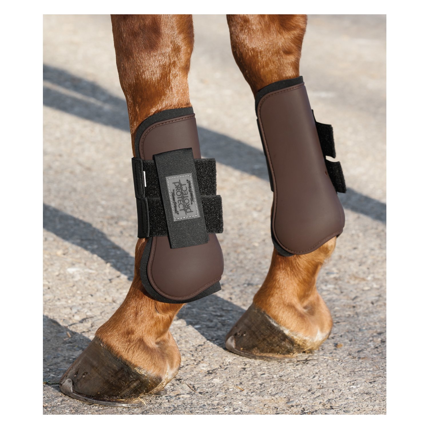 PROTECT by Horse-friends Gamaschen, vorne  - choco