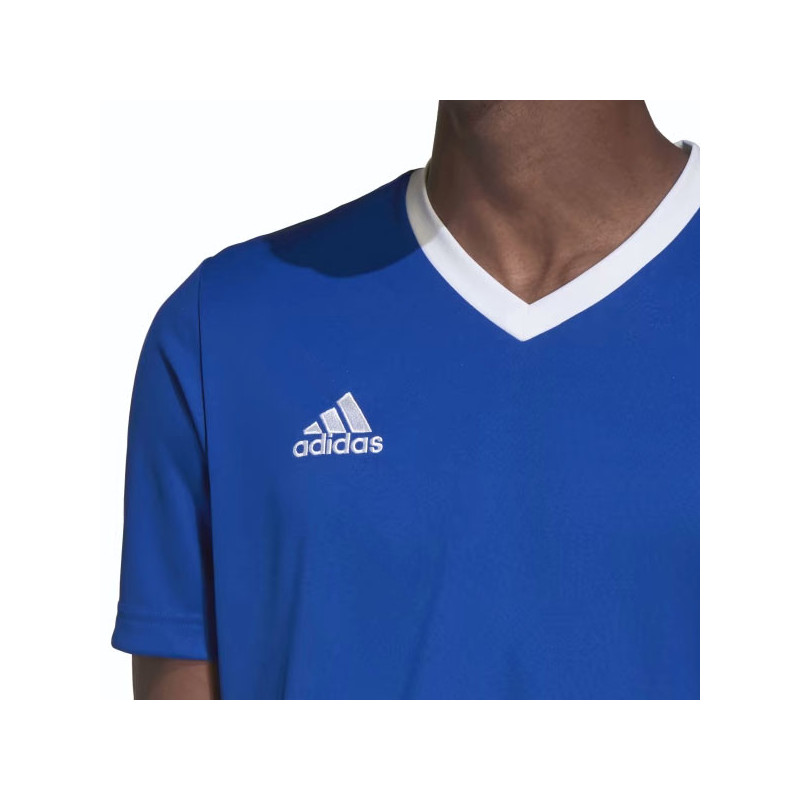Tee-shirt sport Adidas Teamwear
